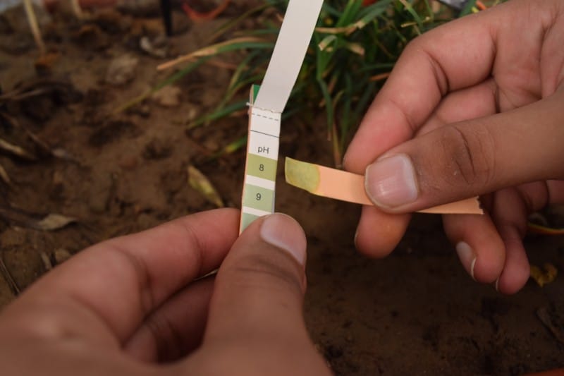 soil pH scale comaprison