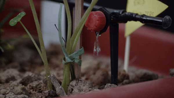 Drip Irrigation System