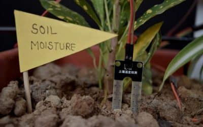 soil moisture sensor