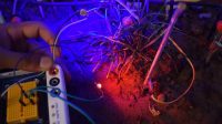 Plant Lighting System