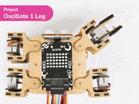 Project - Single Motor Oscillation