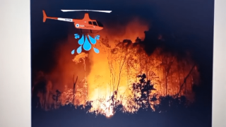 Save forests, save the climate!_ Codeavour2021 4-28 screenshot