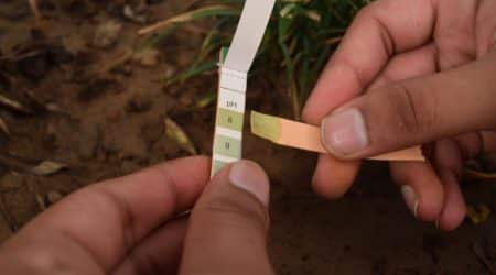 soil pH scale comaprison